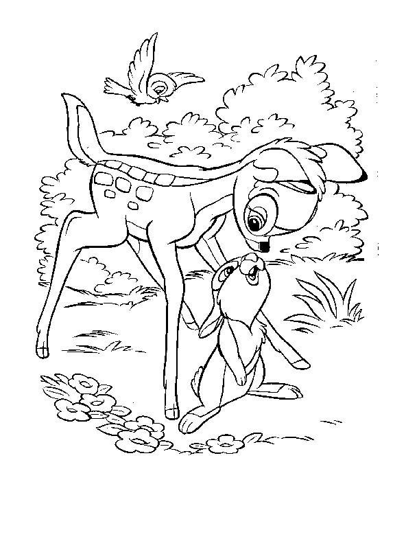 Coloriages bambi 56