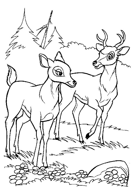 Coloriages bambi 65