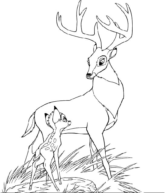 Coloriages bambi 74