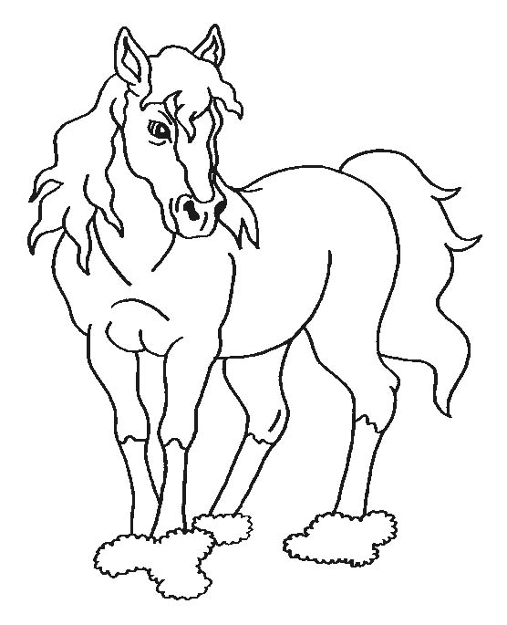 Coloriages cheval 49