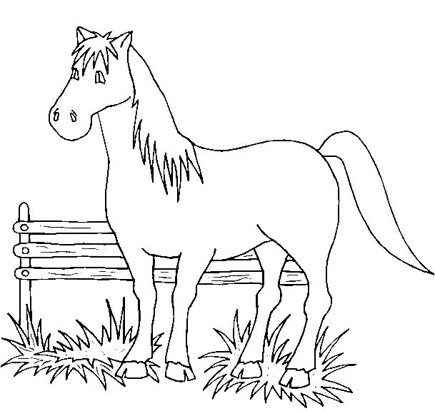 Coloriages cheval 80