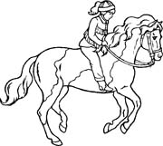 Coloriages cheval 51