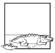 Coloriages crocodile 9