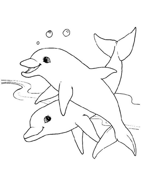 Coloriages dauphins 24