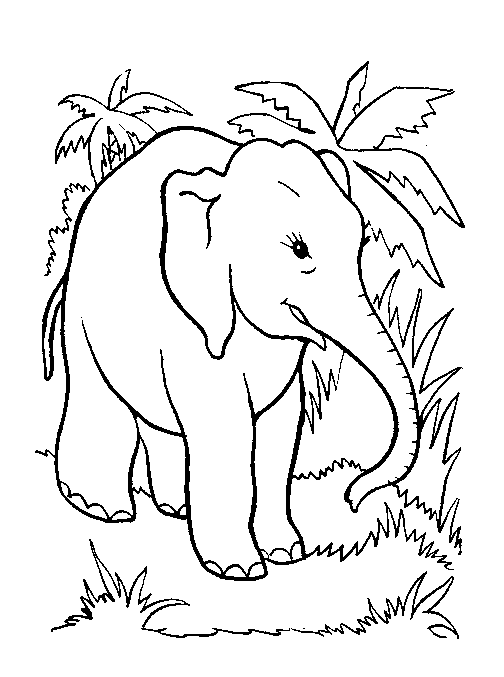 Coloriages elephants 58