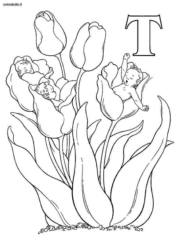 Coloriages alphabet fee 2 20