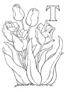 Coloriages alphabet fee 2 19