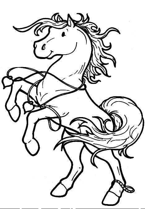 Coloriages cheval 20