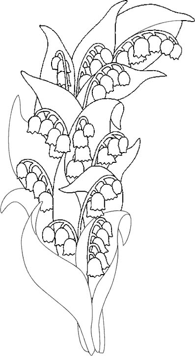 Coloriages fete du muguet 4