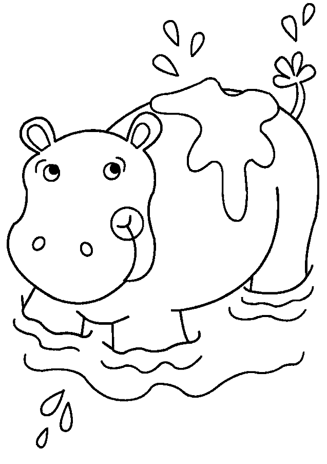 Coloriages hippopotame 5