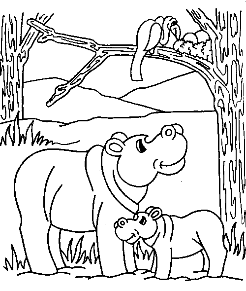 Coloriages hippopotame 6