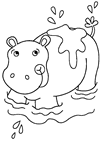 Coloriages hippopotame 5