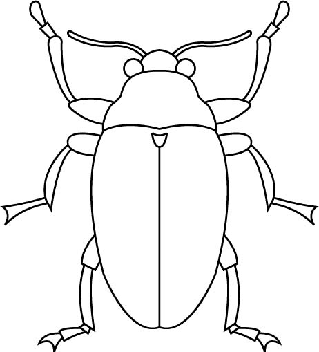 Coloriages insectes 3