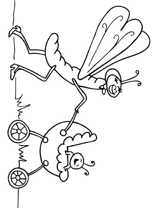 Coloriages insectes 6