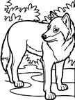 Coloriages loups 6