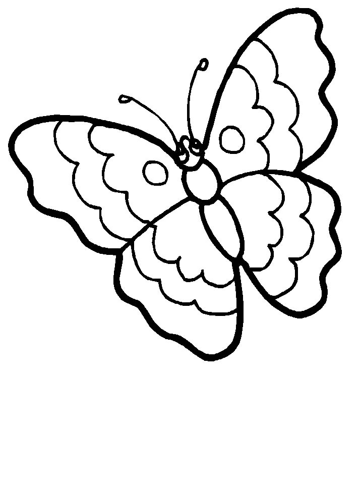 Coloriages papillons 7