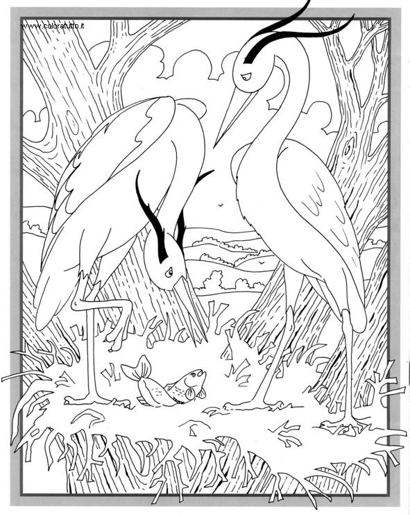 Coloriages plusieur animaux 10