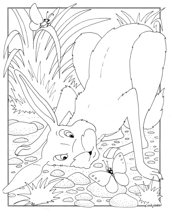 Coloriages plusieur animaux 103