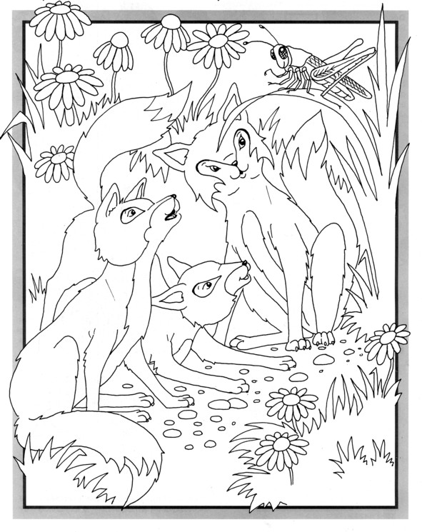 Coloriages plusieur animaux 104