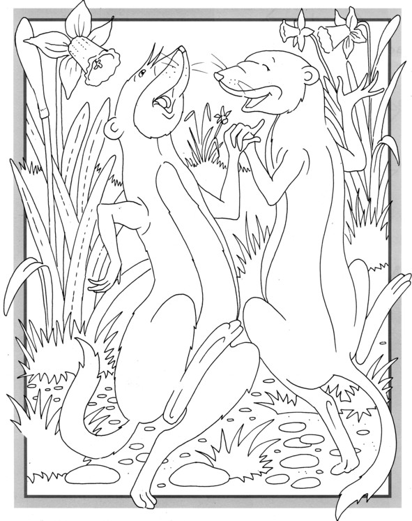 Coloriages plusieur animaux 13