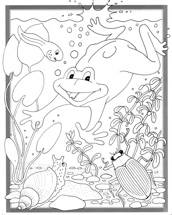 Coloriages plusieur animaux 14