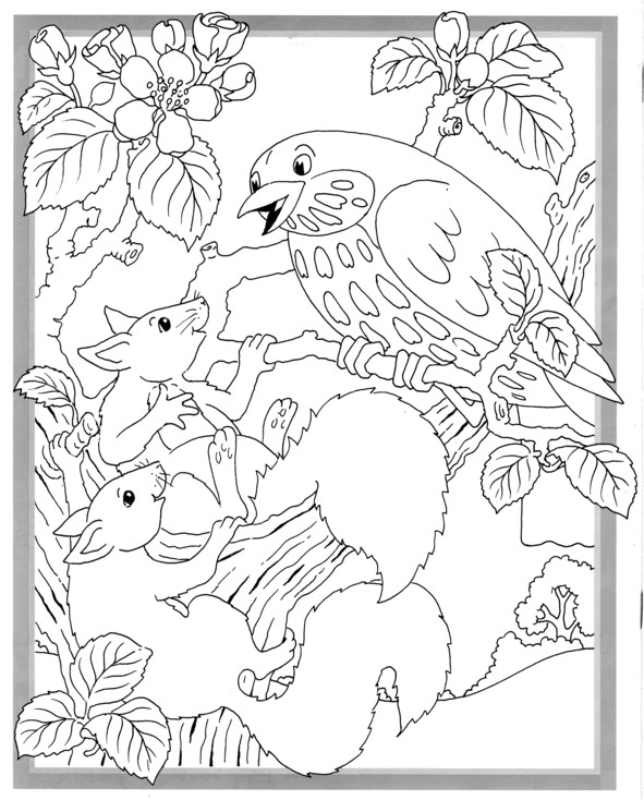 Coloriages plusieur animaux 15