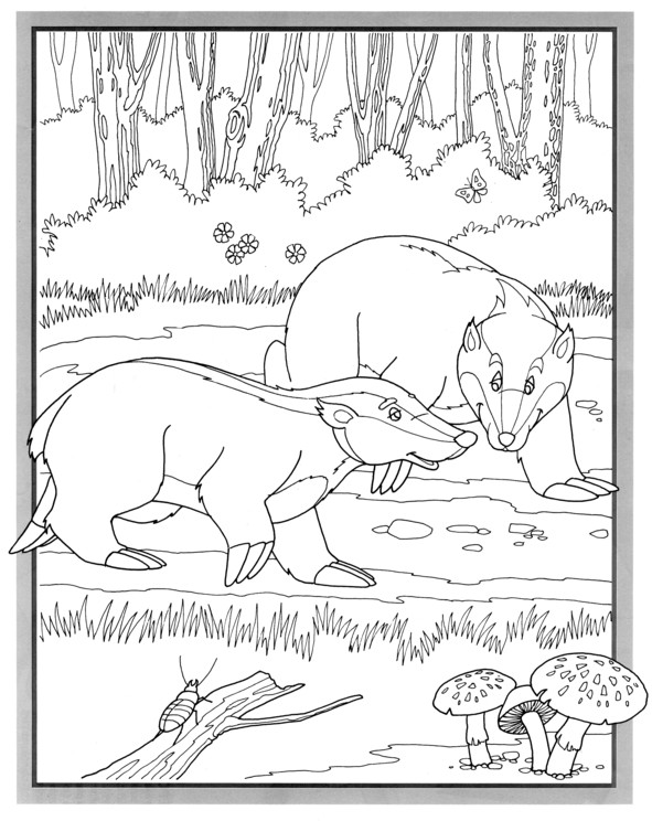 Coloriages plusieur animaux 16