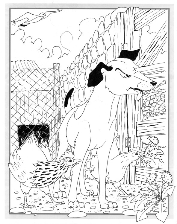 Coloriages plusieur animaux 19