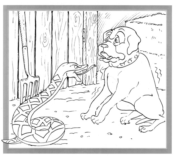 Coloriages plusieur animaux 20