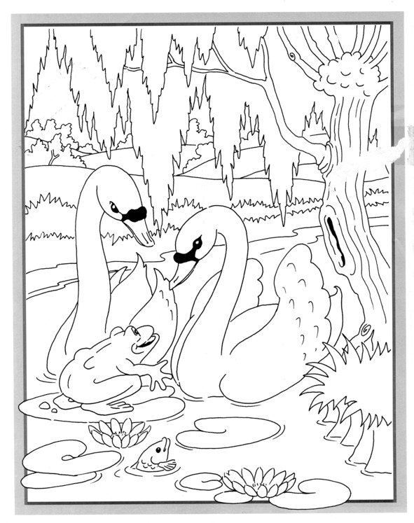 Coloriages plusieur animaux 23