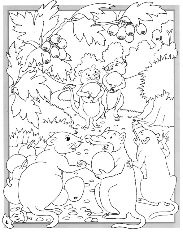 Coloriages plusieur animaux 24