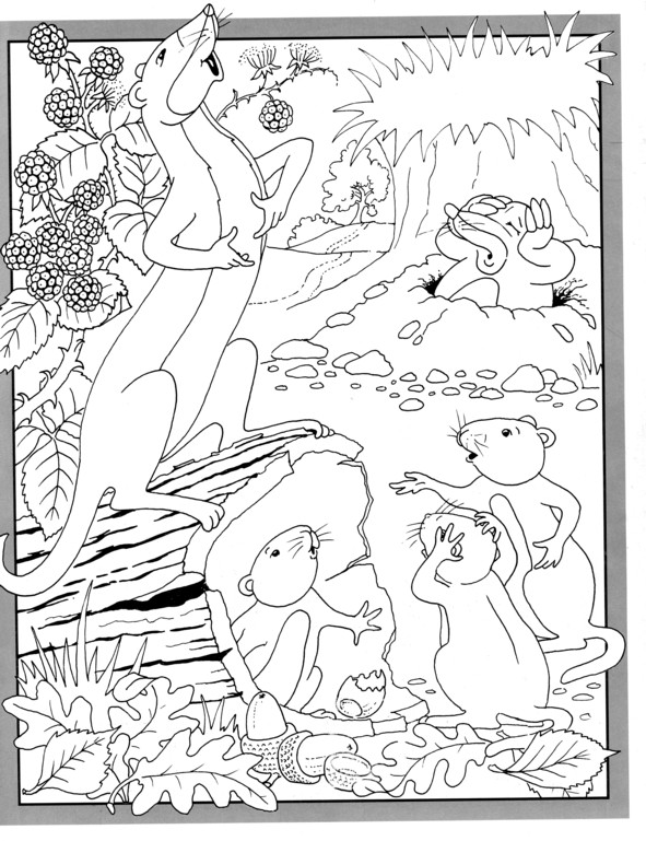 Coloriages plusieur animaux 27