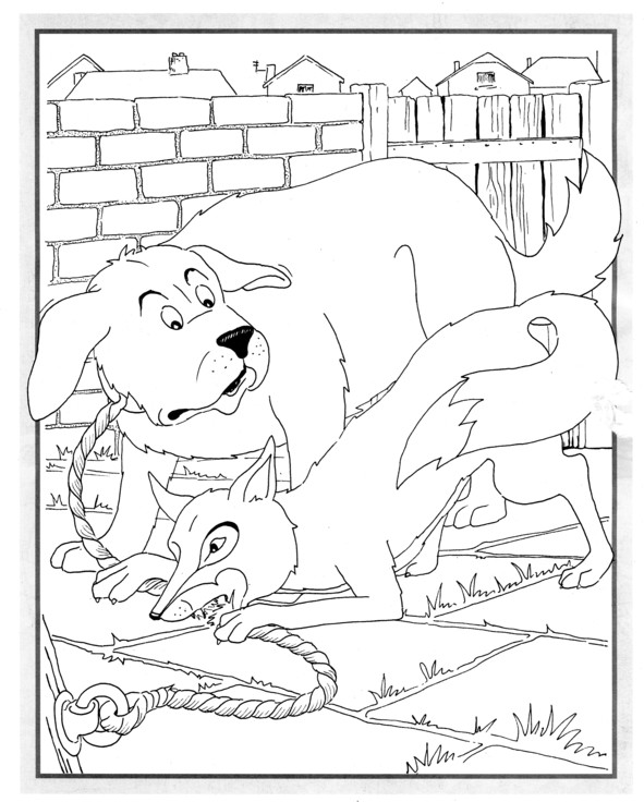 Coloriages plusieur animaux 29