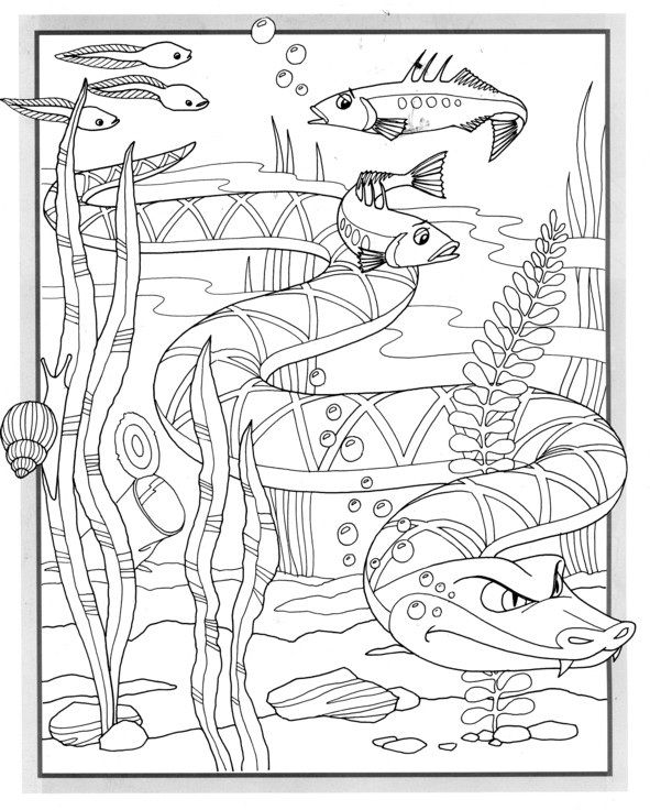 Coloriages plusieur animaux 36