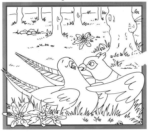 Coloriages plusieur animaux 37