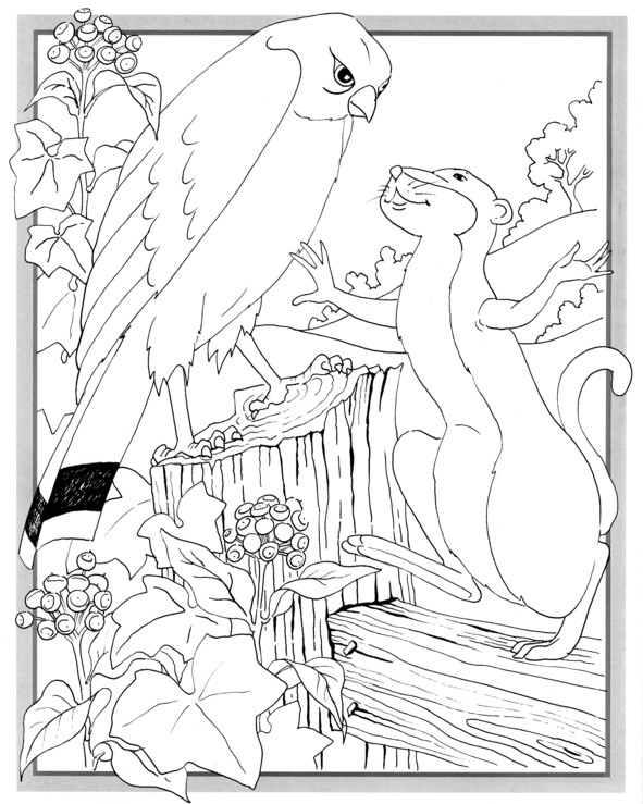 Coloriages plusieur animaux 38