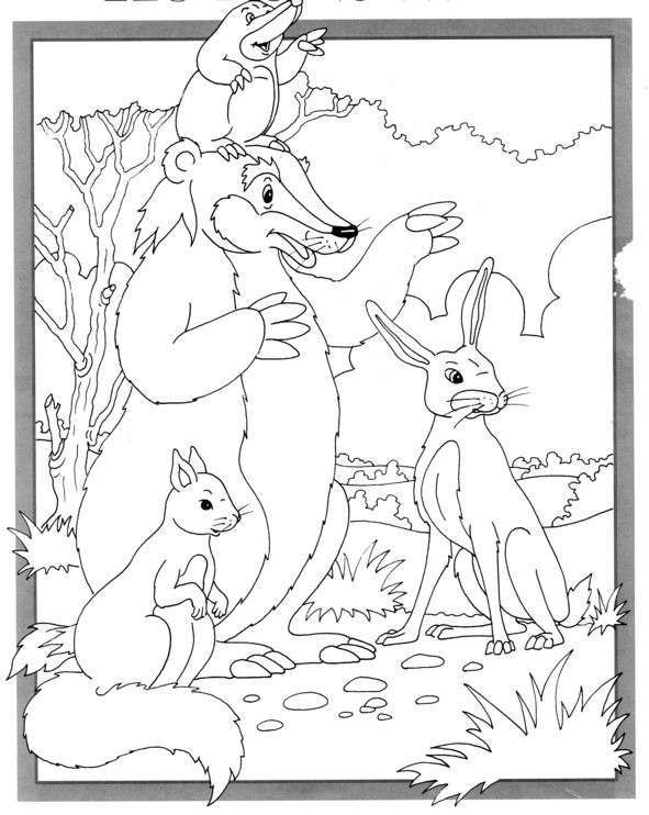 Coloriages plusieur animaux 41