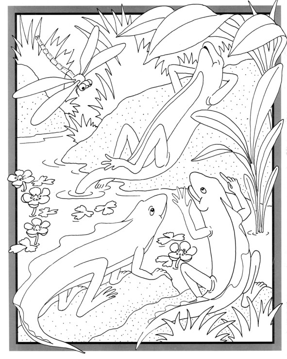 Coloriages plusieur animaux 43