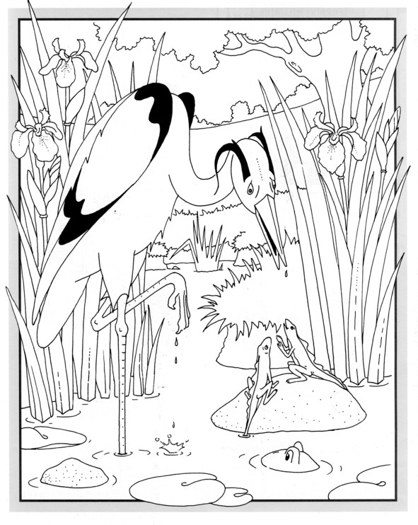 Coloriages plusieur animaux 51