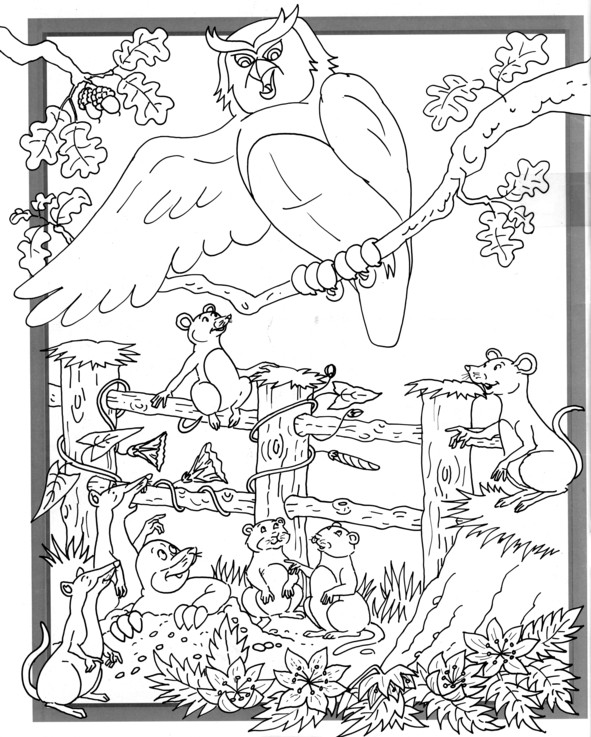 Coloriages plusieur animaux 54