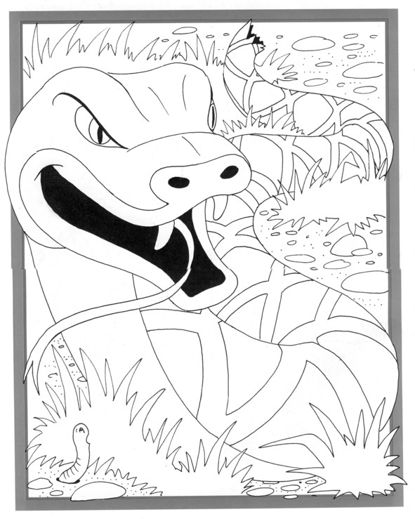 Coloriages plusieur animaux 59