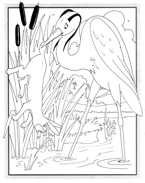 Coloriages plusieur animaux 60