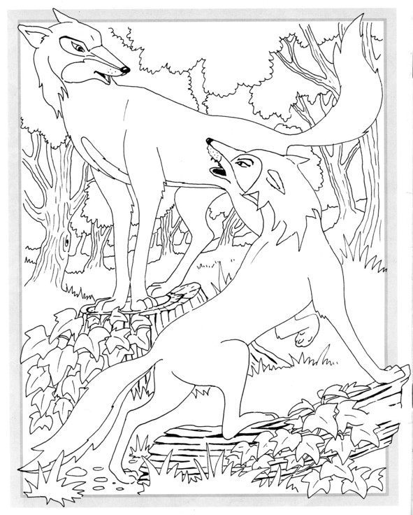 Coloriages plusieur animaux 69