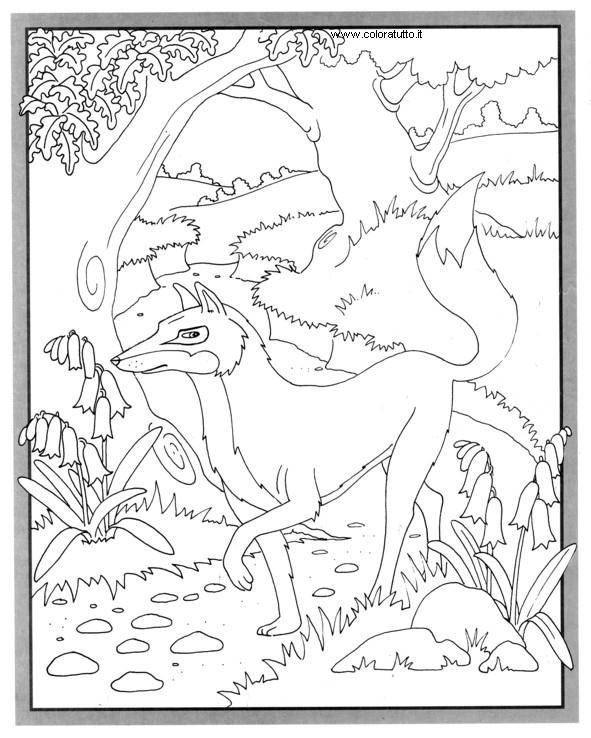 Coloriages plusieur animaux 7