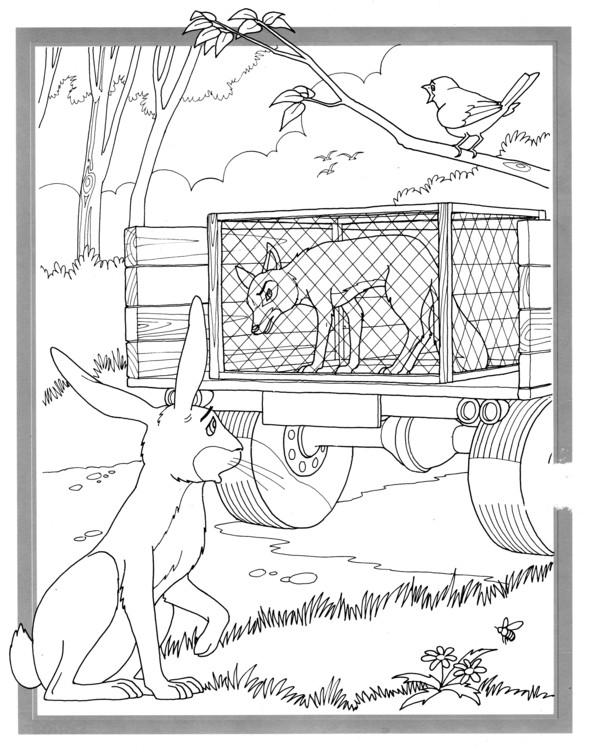 Coloriages plusieur animaux 74