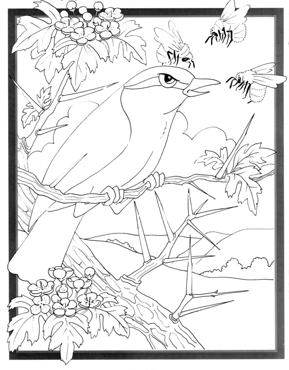 Coloriages plusieur animaux 89