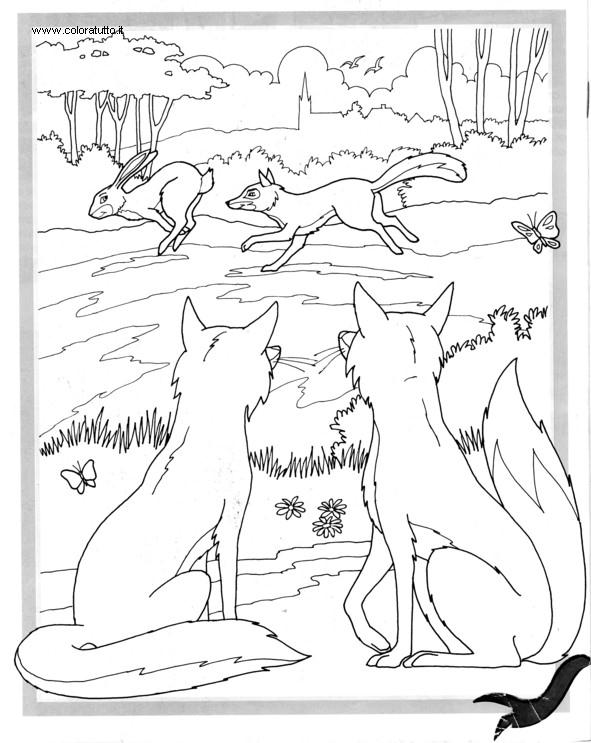 Coloriages plusieur animaux 9