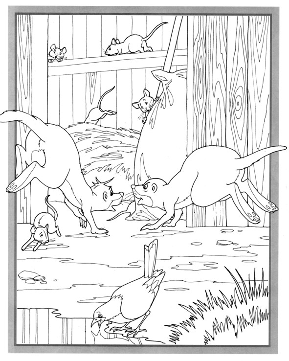 Coloriages plusieur animaux 92