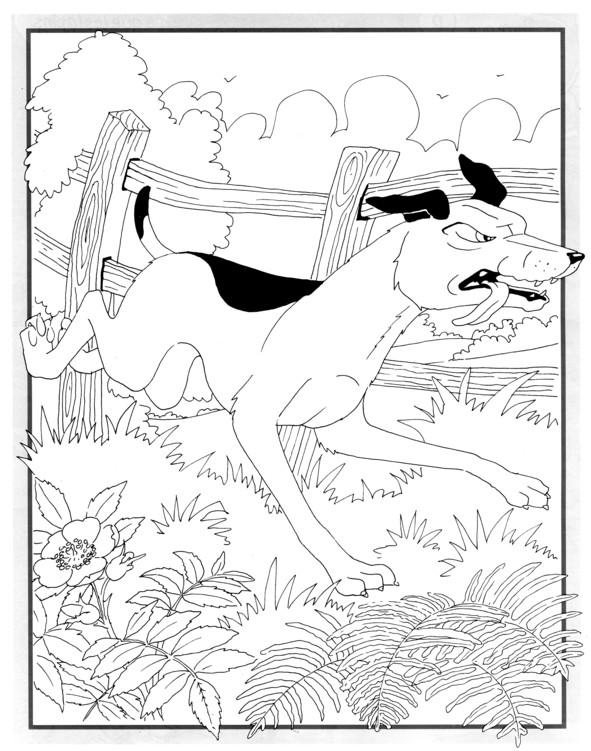 Coloriages plusieur animaux 94