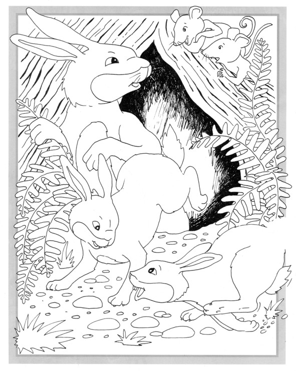 Coloriages plusieur animaux 99